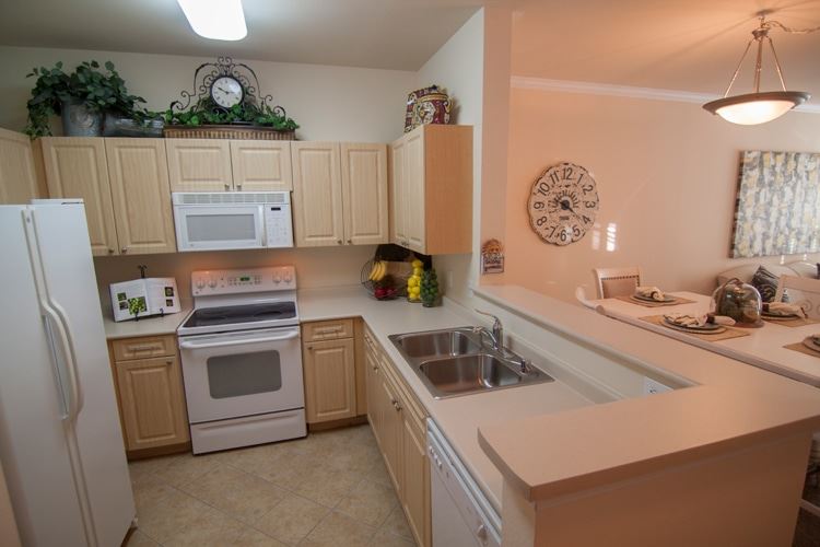 Springfield Apartments in Lubbock, Texas